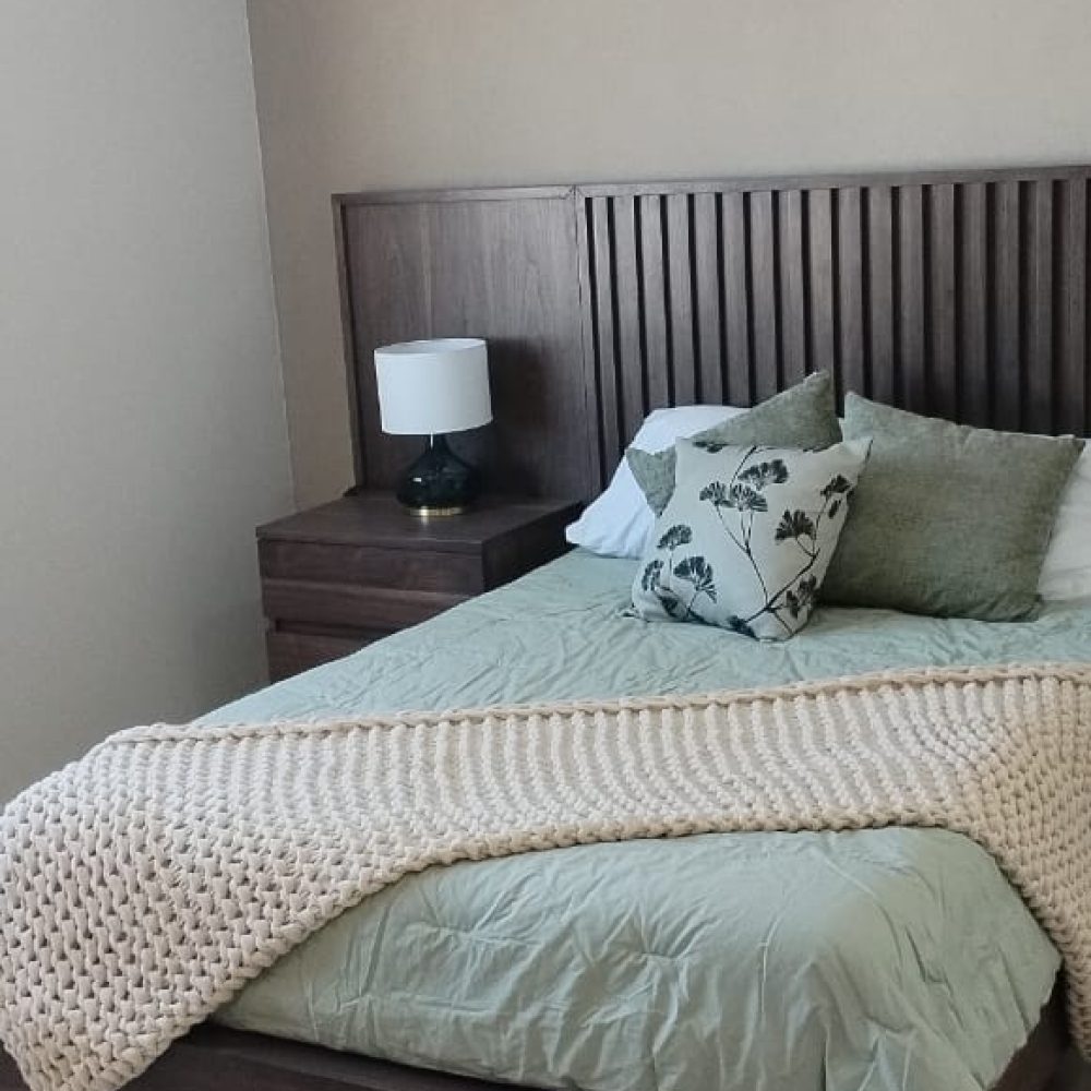 Venta de Casas en Pachuca carolina2